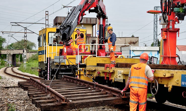 PKP-1 Pkp 1