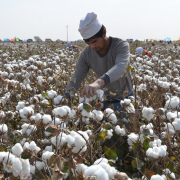 Xinjiang Xinjiang