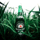 beer, bottle, green