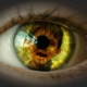 child-suffering-look-stockpack-pixabay.jpg child, suffering, look