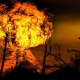 explosion, fire, forest