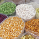 grain-corn-beans-stockpack-pixabay.jpg grain, corn, beans