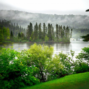 landscape, summer, nature