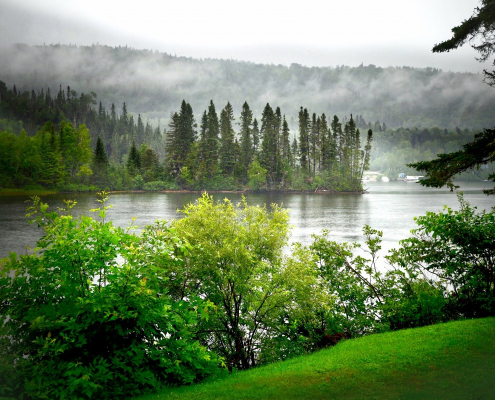 landscape-summer-nature-stockpack-pixabay.jpg landscape, summer, nature