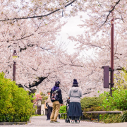 man-and-woman-walking-on-pathway-surrounded-by-trees-stockpack-pexels.jpg Man and woman walking on pathway surrounded by trees