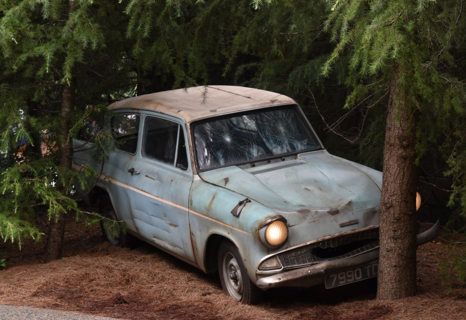 Old car parked near tree