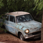old-car-parked-near-tree-stockpack-pexels.jpg Old car parked near tree