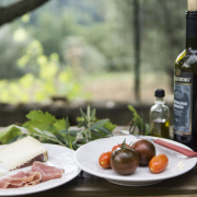 picnic-wine-european-stockpack-pixabay.jpg picnic, wine, european