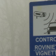 Rovinieta