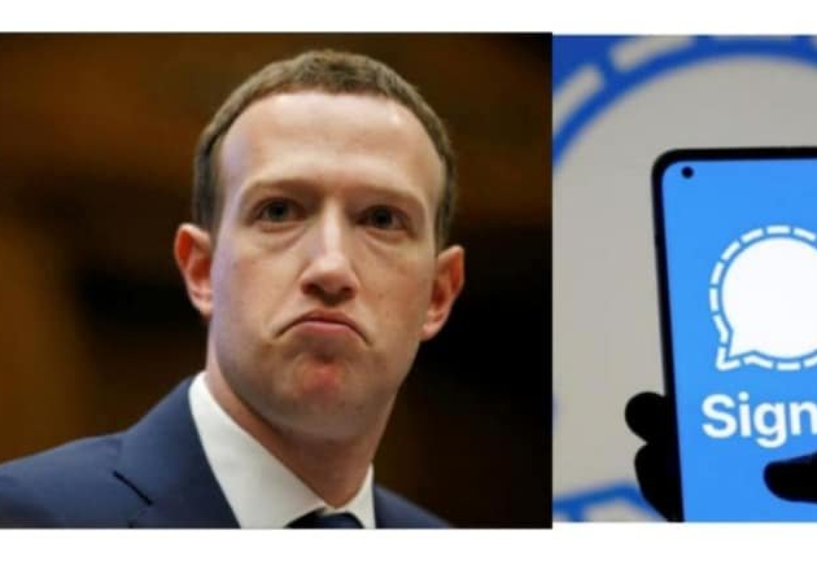 zuckerberg signal Zuckerberg Signal
