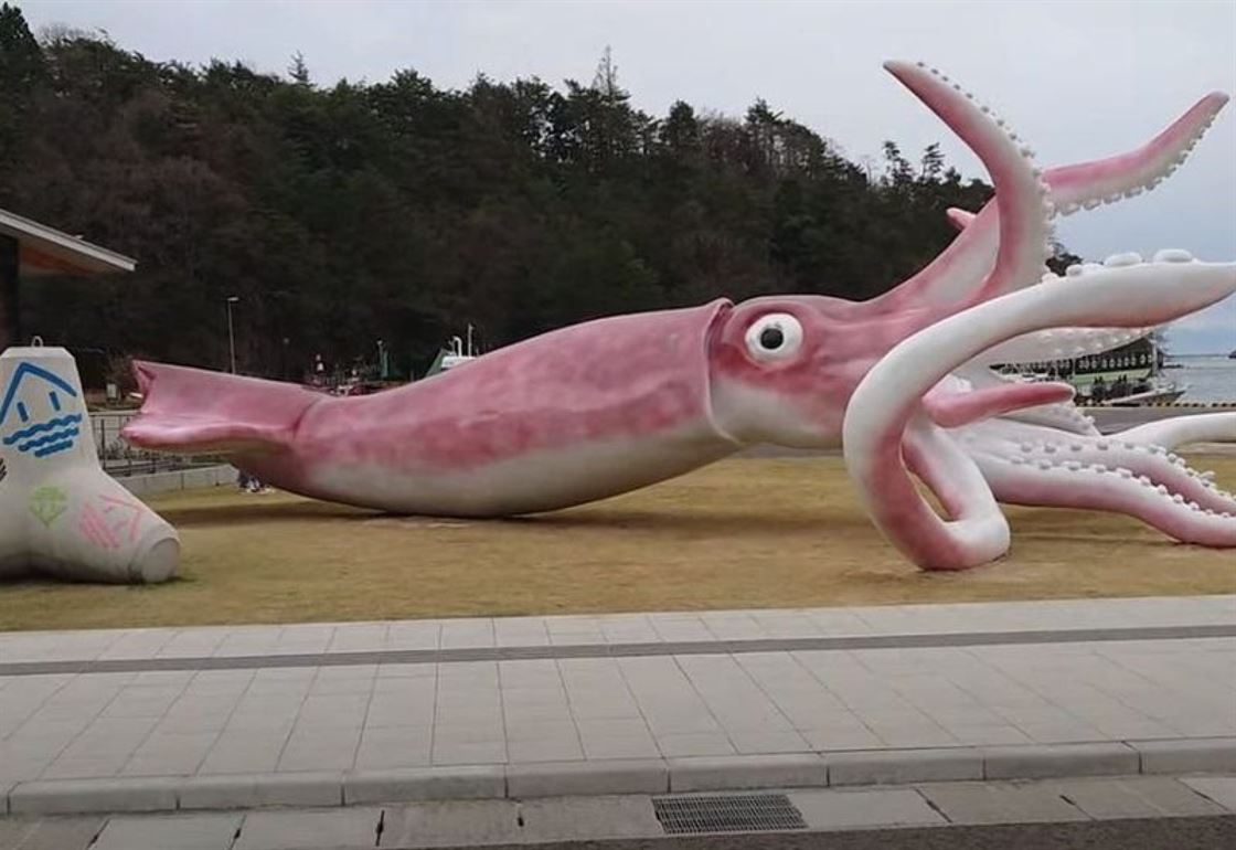 _118314874_squid1 118314874 Squid1
