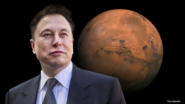 Elon Musk Mars 2