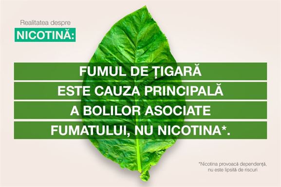Nicotina-fara-ardere-si-fum-2 Nicotina Fara Ardere Si Fum 2