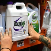 Roundup Monsanto Bayer