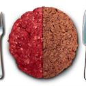 Vegan-Burger-And-Meat-feature Vegan Burger And Meat Feature