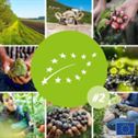 agricultura UE Agricultura Ue