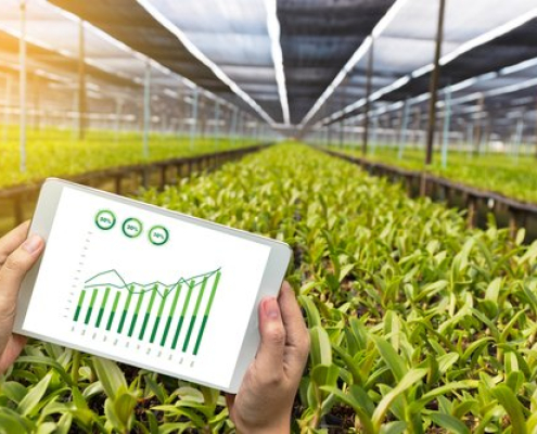 Agriculture Eu
