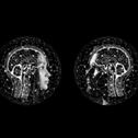 artificial-intelligence-brain-think-stockpack-pixabay.jpg artificial intelligence, brain, think