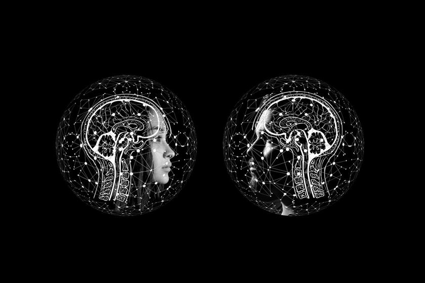 artificial-intelligence-brain-think-stockpack-pixabay.jpg artificial intelligence, brain, think