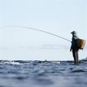 fishing-fisherman-fishing-rod-stockpack-pixabay.jpg fishing, fisherman, fishing rod