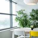 ikea, table, dining
