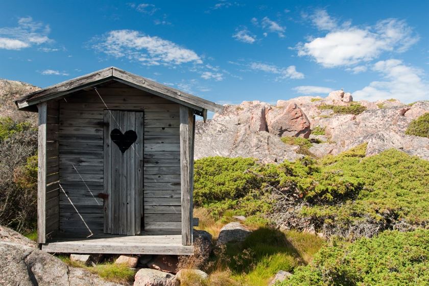 outhouse, wood, toilet