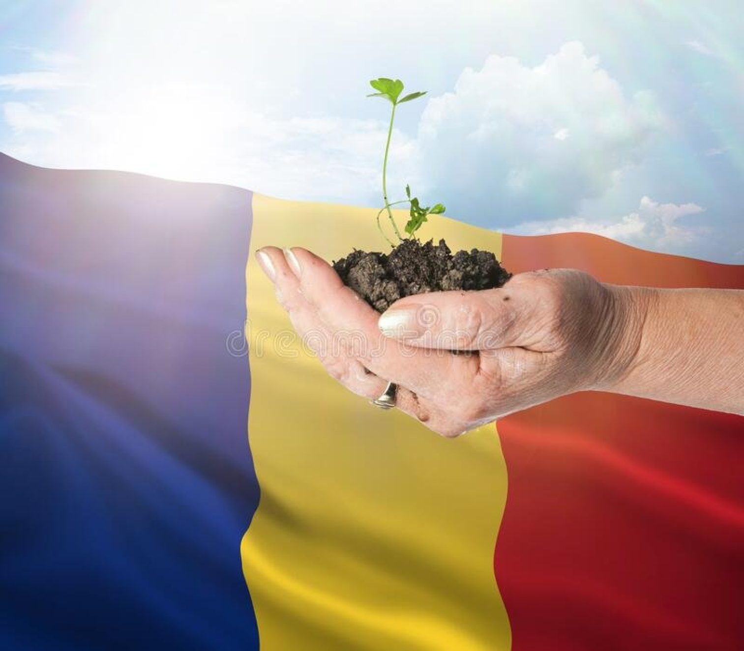 Romania Energie Verde