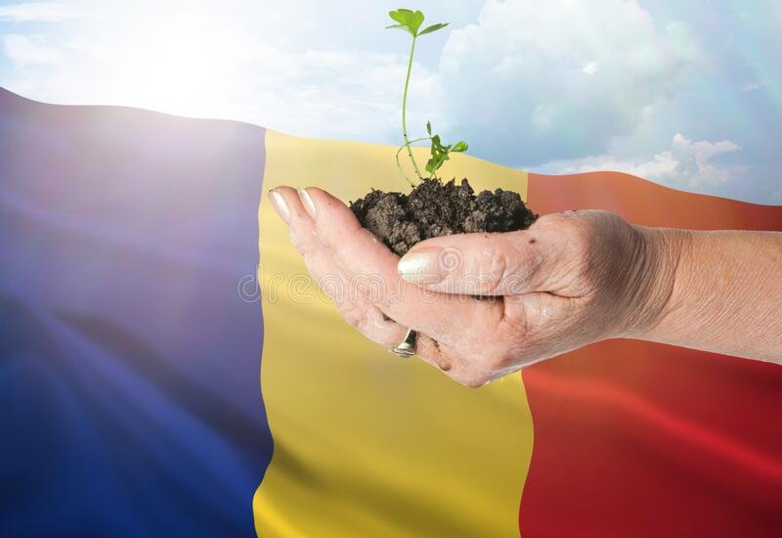 Romania Energie Verde