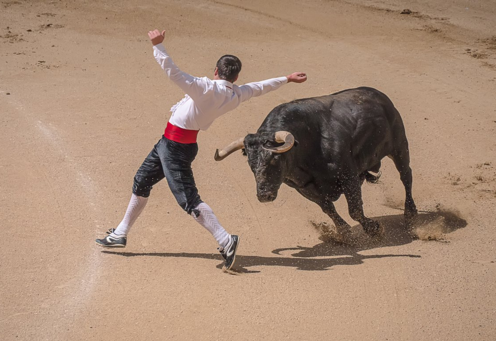 trimmers-torero-bullfighters-stockpack-pixabay.jpg trimmers, torero, bullfighters