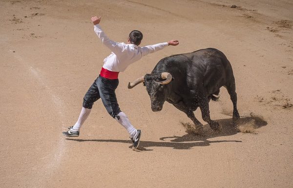 trimmers, torero, bullfighters