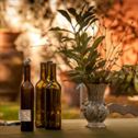 yard-vine-gardening-stockpack-pixabay.jpg yard, vine, gardening