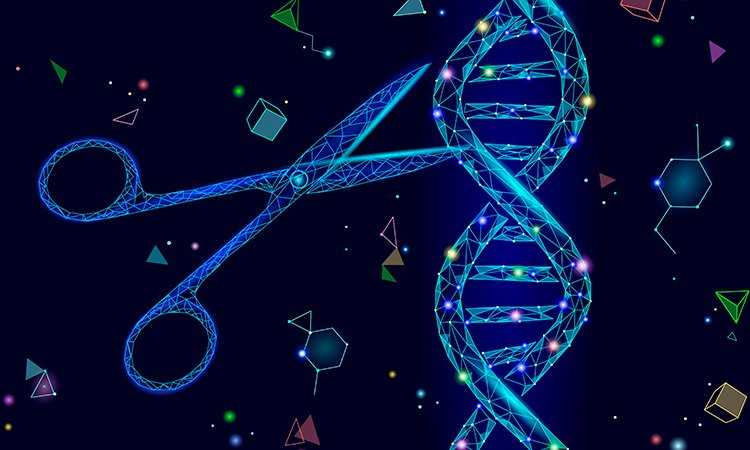 CRISPR-Cas9-2 Crispr Cas9 2
