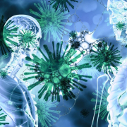 coronavirus-sars-cov-2-lung-stockpack-pixabay.jpg coronavirus, sars-cov-2, lung