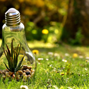 environmental-protection-nature-light-bulb-stockpack-pixabay.jpg environmental protection, nature, light bulb