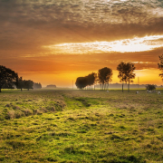 field-countryside-sunset-stockpack-pixabay.jpg field, countryside, sunset