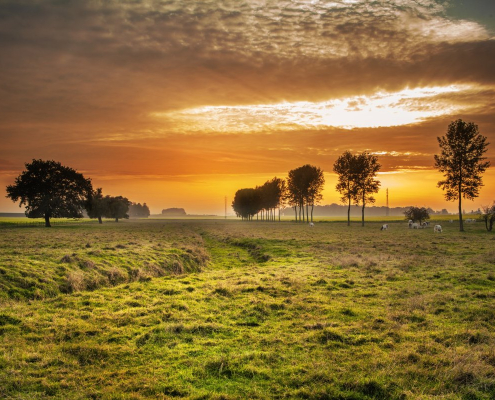 field-countryside-sunset-stockpack-pixabay.jpg field, countryside, sunset