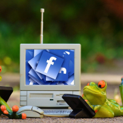 frogs-computer-facebook-stockpack-pixabay.jpg frogs, computer, facebook