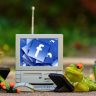frogs, computer, facebook
