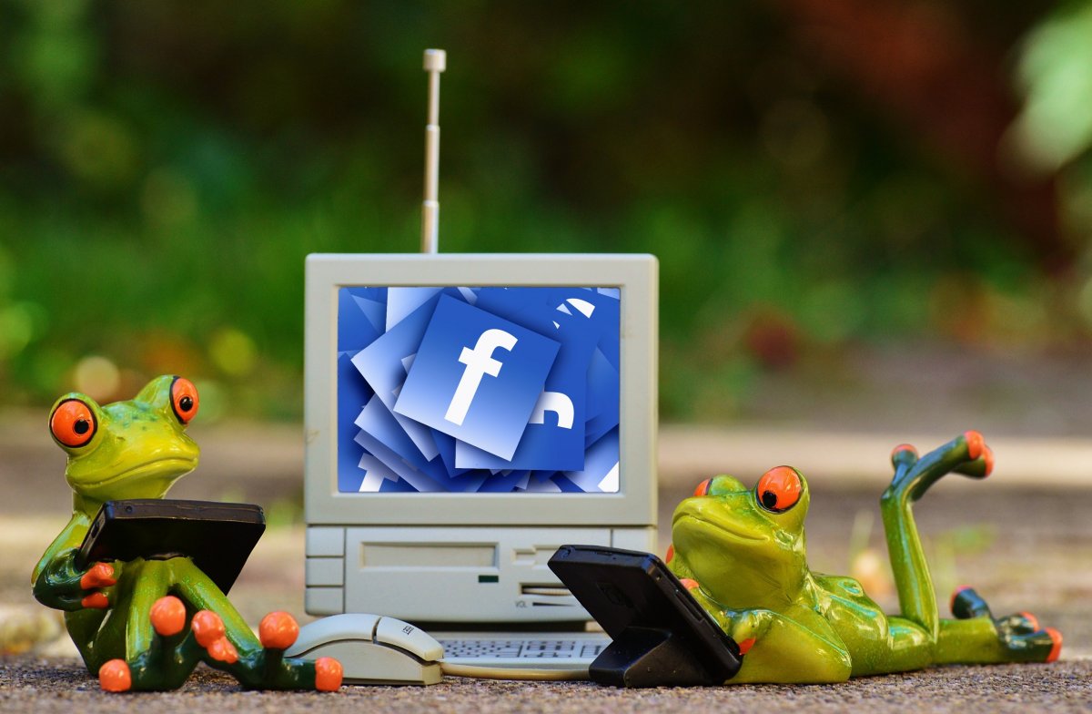 frogs-computer-facebook-stockpack-pixabay.jpg frogs, computer, facebook