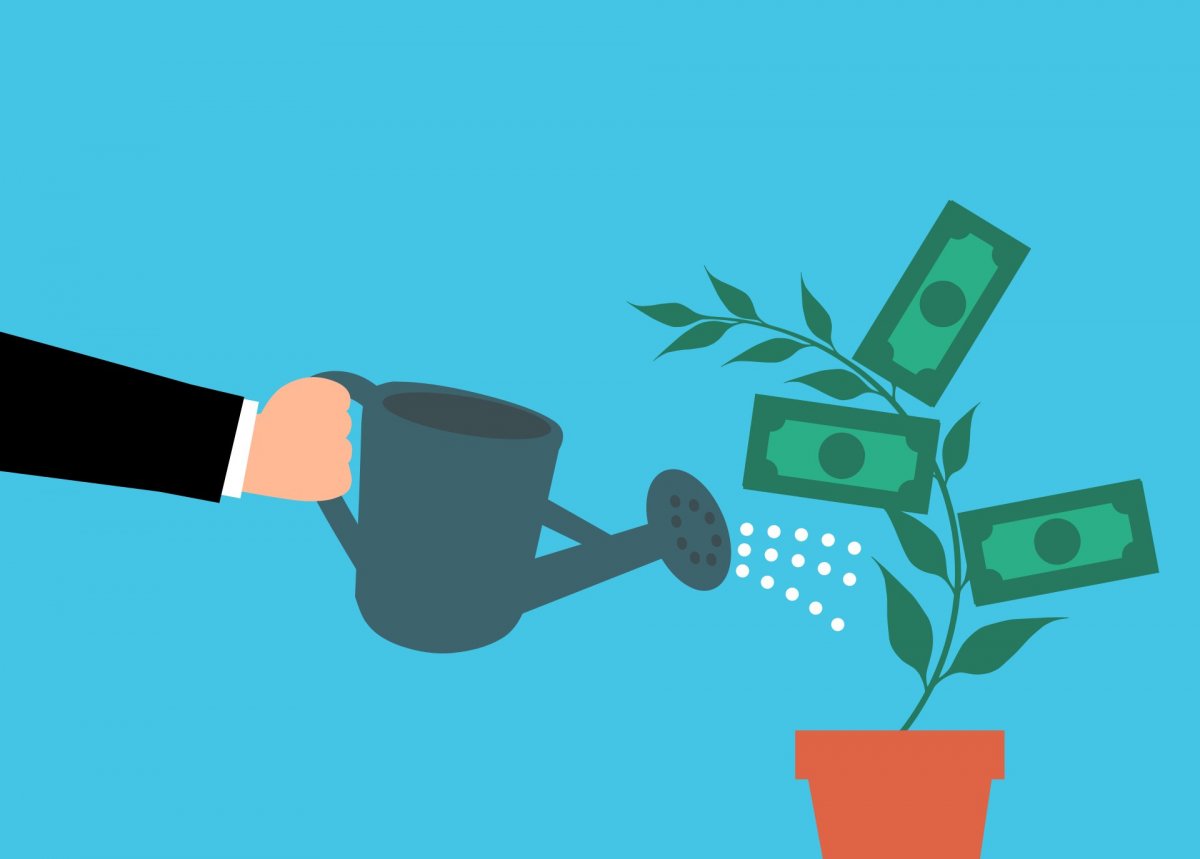 money-cash-tree-stockpack-pixabay.png money, cash, tree