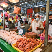 pietele umede asia Pietele Umede Asia