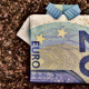 the-last-shirt-dollar-bill-20-euro-stockpack-pixabay.jpg the last shirt, dollar bill, 20 euro