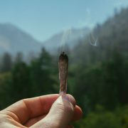 The only good kind of forest fire