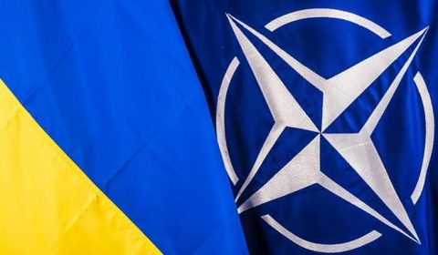Ukraine Nato Flags