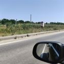 Centura Bucuresti Inaltator Contra Buruienilor
