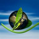 earth-globe-birth-stockpack-pixabay.jpg earth, globe, birth