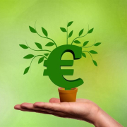 financing-business-euro-stockpack-pixabay.jpg financing, business, euro