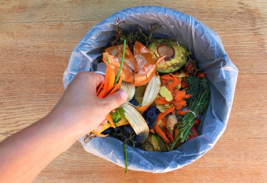 food waste Food Waste