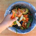 food waste Food Waste