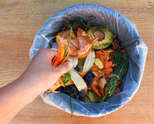 food waste Food Waste